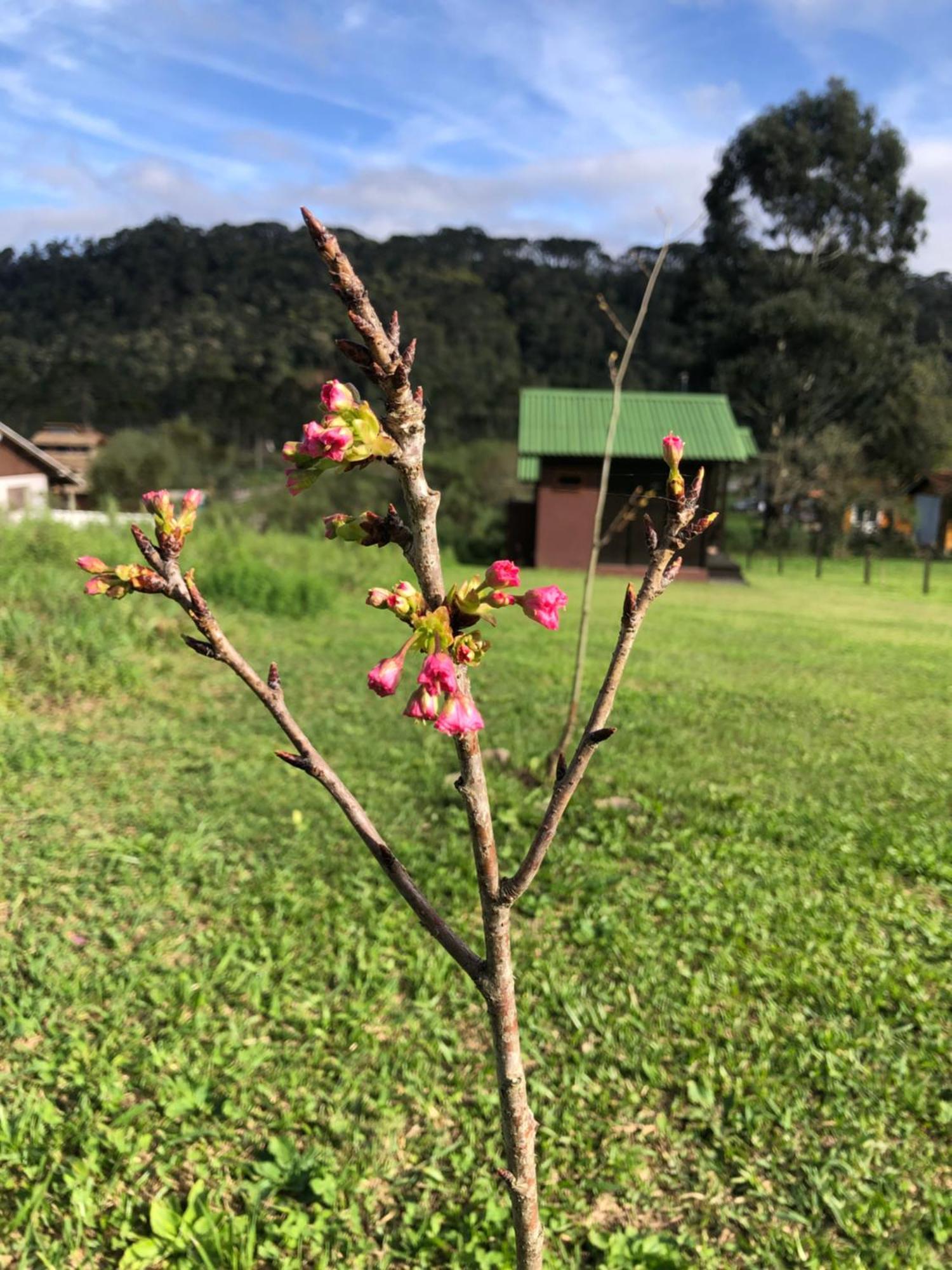 Chale Na Serra Urubici Exteriér fotografie